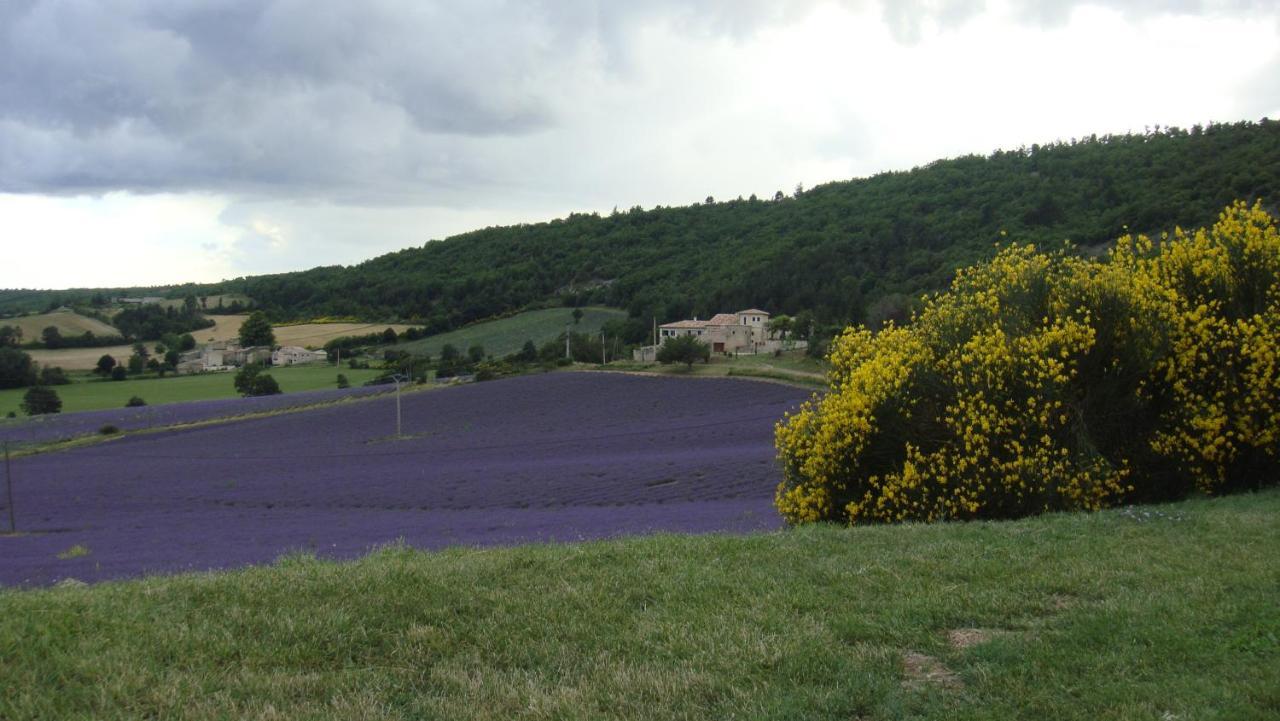 La Maison Bleue Сол-де-Воклюз Екстериор снимка